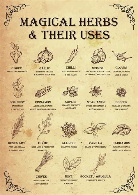 Magcal properties of herbs